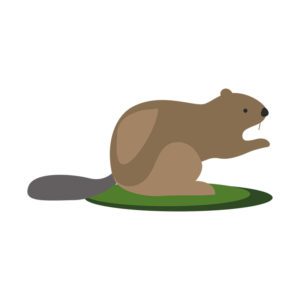 Cute Beaver Vector Art