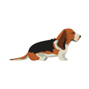 Tri Color Side View Basset Hound Dog Vector Art