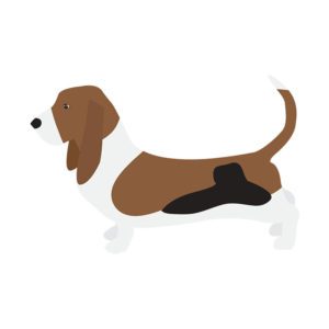 Subtle Basset Hound Side View Vector Art