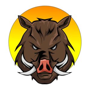 Terrifying and Determined Boar Vector Art