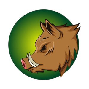 Spine Chilling Boar Vector Art