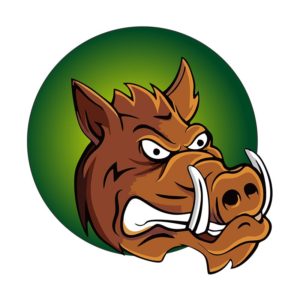 Enraging Bewildered Boar Vector Art