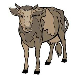 Small-Horned Jersey Cattle Cows Calf Vector Art