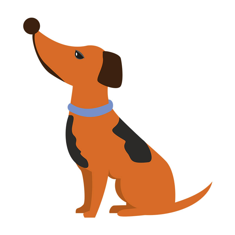 Exhilaratingly Dachshund Sitting Cute Dog Vector Art - Design Shop by ...