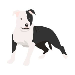 Canine Gladiator Bull Terrier Dog Vector Art