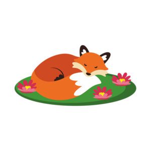 Relaxing and Dreamy Vixen Red Fox Vector Art