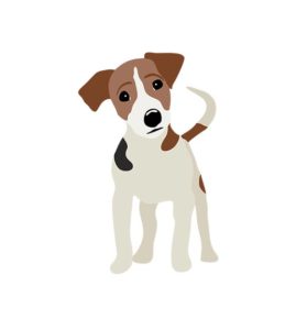 Jack Russell Terrier Vector Design