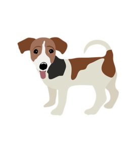 Jack Russel Terrier Vector