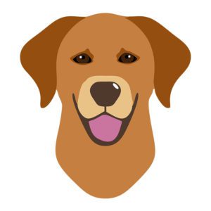 Brown Labrador Head Vector