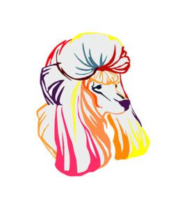 Poodle Face Vector Design  Animal Face Vector  Colorful Dog Face Vector  SVG PNG Poodle Face