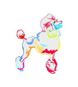 Poodle Graphic Vector  Animal Vector Design