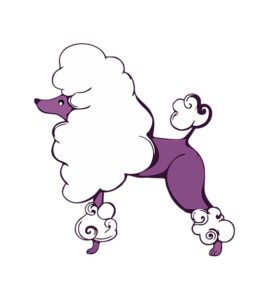 Poodle Dog Vector Design