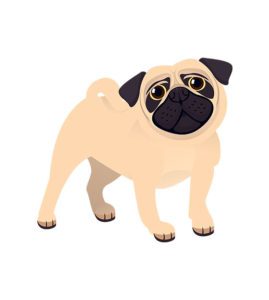 Pug Vector Design
