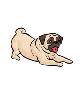 Cute Pug Vector  Playing
