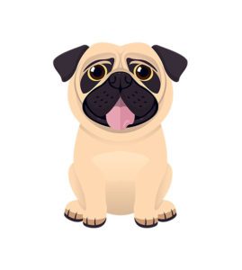 Pug Vector Design  Hanging Tongue Pug Vector  Sitting Pug Vector Design  PDF Pug Vector File
