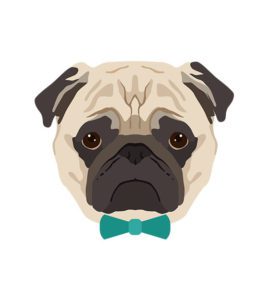 Pug Face Vector