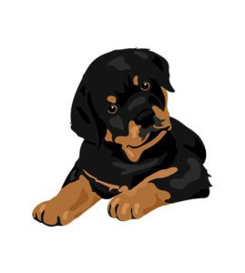 Rottweiler Vector Design