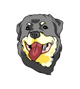 German Rottweiler Face Vector