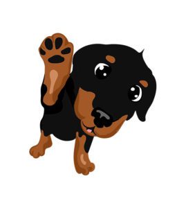 Rottweiler Puppy Vector