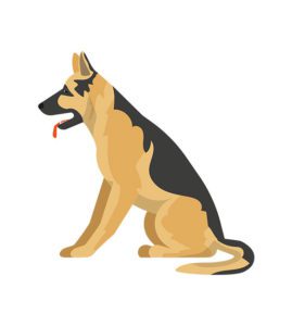 German Shepherd Vector