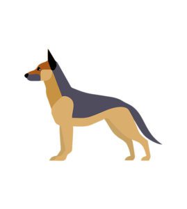 German Shepherd Dog Vector
