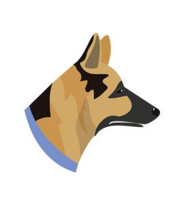 German Shepherd Head Vector