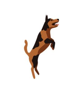 Jumping Dog Vector  Dog Vector Art