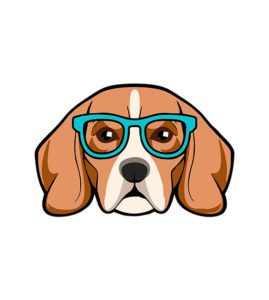 Beagle Dog Face Vector