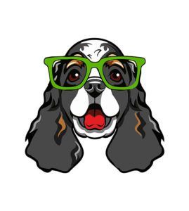 Cocker Spaniel Face