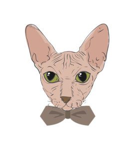 Sphynx Face Vector