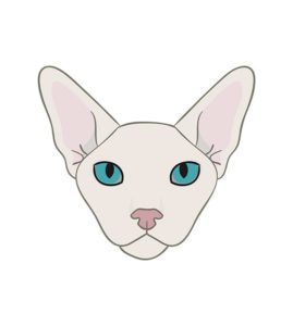 Sphynx Face Vector Art
