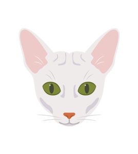 Sphynx Face Vector Design  Pink Ears