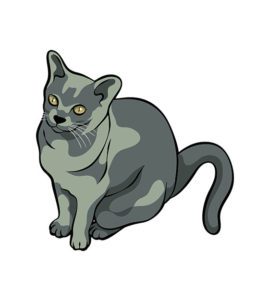 Devon Rex Vector Art