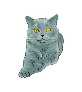 Chartreux Vector Design