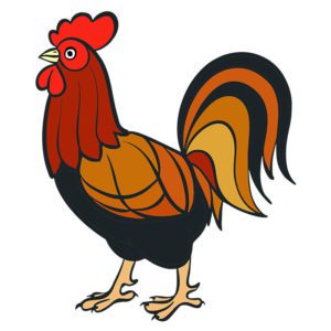 Charming Multi-Colored Rooster Vector Art