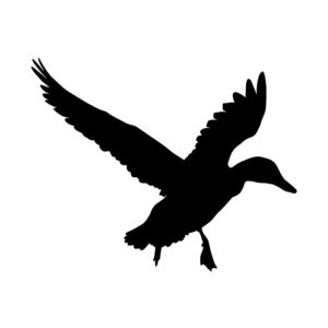 Adult Duck Silhouette Art