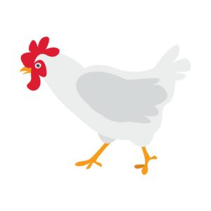Steadfast Poultry Farm Chicken Vector Art
