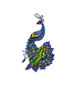 AMICABLE AND COLORFUL PEACOCK VECTOR ART