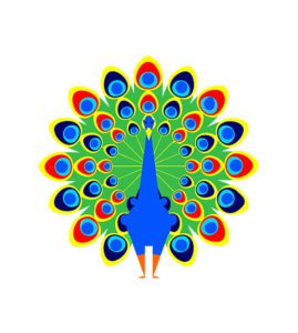 DANCING VIBRANT OPEN FEATHERED PEACOCK VECTOR ART