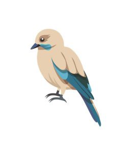 Beautiful Warbler Bird Vector Art