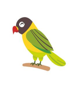 Colorful Parrot Bird Vector Art