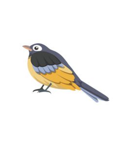 Exotic Mockingbird Vector Art