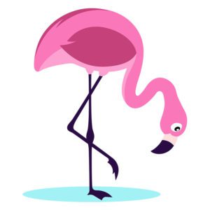Standing Flamingo Looking Downwards Vector Art