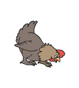 Wondrous Clucking Chicken Vector Art