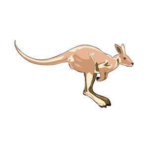 Kangaroo Sublimation  Animal Vector