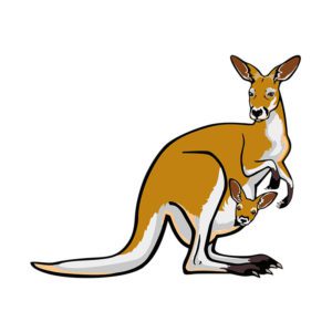 Mama Baby Kangaroo Vector