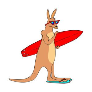 Kangaroo Vector Art  Animal