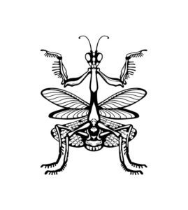 Camouflaged Flower Mantis Silhouette Art