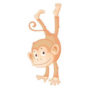 Monkey Vector Design  Animal