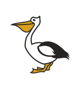 Pelican Vector Art